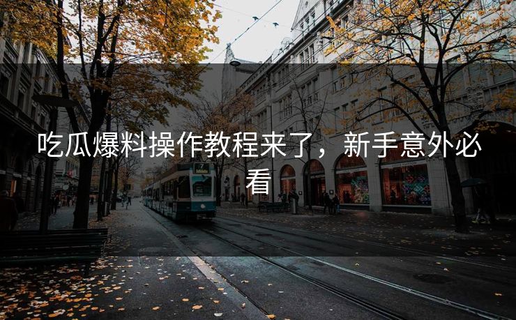 吃瓜爆料操作教程来了，新手意外必看