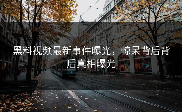 黑料视频最新事件曝光，惊呆背后背后真相曝光