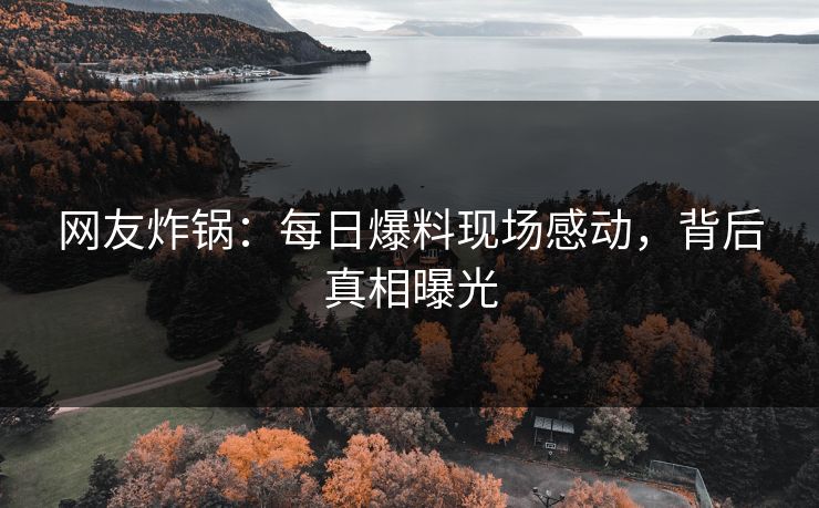 网友炸锅：每日爆料现场感动，背后真相曝光