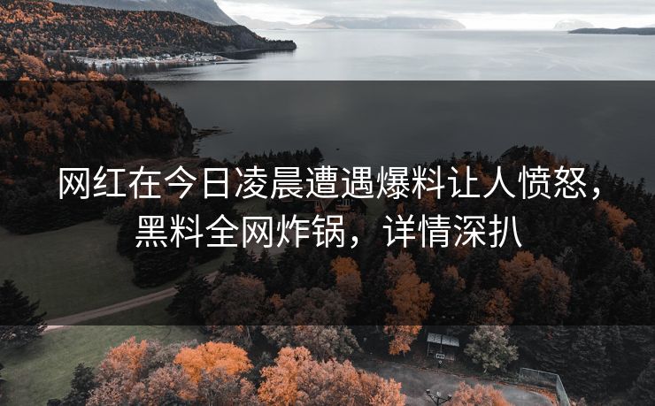 网红在今日凌晨遭遇爆料让人愤怒，黑料全网炸锅，详情深扒