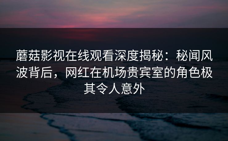 蘑菇影视在线观看深度揭秘：秘闻风波背后，网红在机场贵宾室的角色极其令人意外