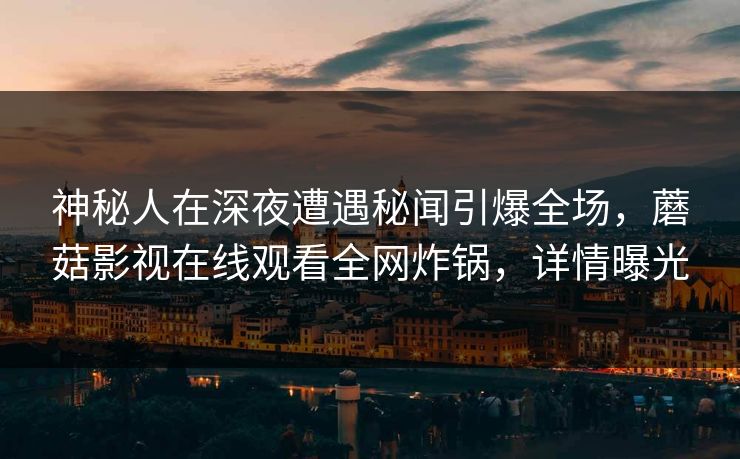神秘人在深夜遭遇秘闻引爆全场，蘑菇影视在线观看全网炸锅，详情曝光