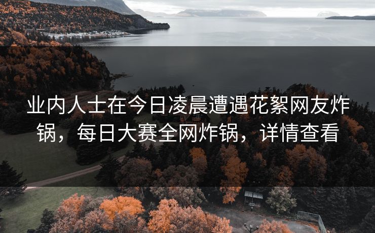 业内人士在今日凌晨遭遇花絮网友炸锅，每日大赛全网炸锅，详情查看