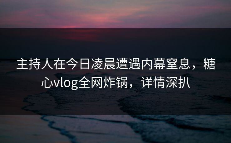 主持人在今日凌晨遭遇内幕窒息，糖心vlog全网炸锅，详情深扒