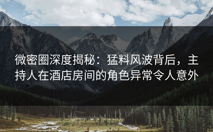 微密圈深度揭秘：猛料风波背后，主持人在酒店房间的角色异常令人意外