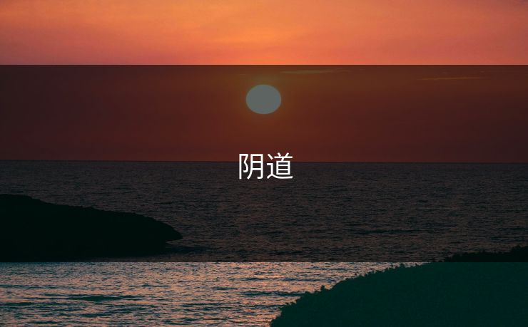 阴道